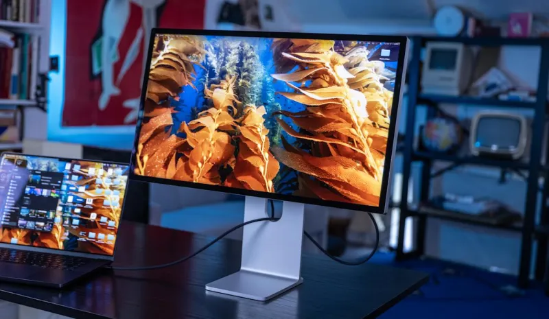 Apple Studio Display XDR: обзор яркости, цвета и игр