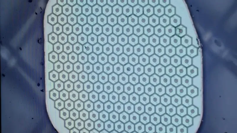 Biohybrid BCI: Science Corp готовит первые испытания нейронного интерфейса