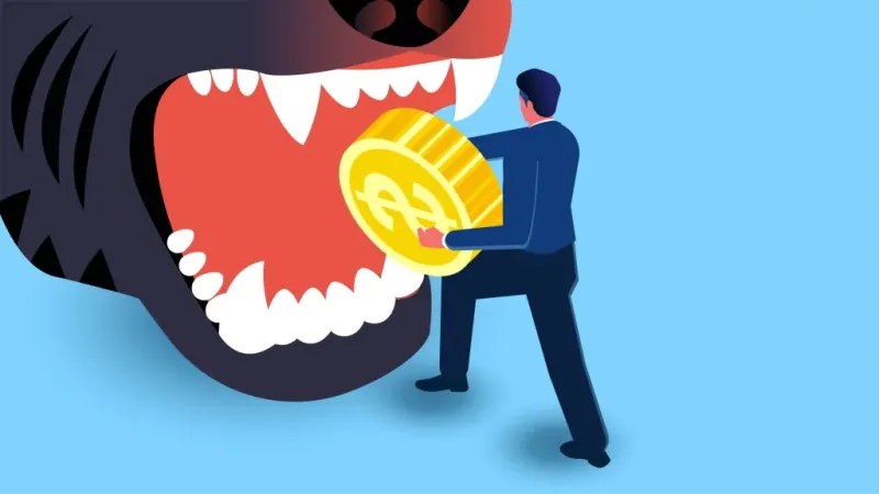 BNPL: Невидимая долговая ловушка и угроза финансовой системе