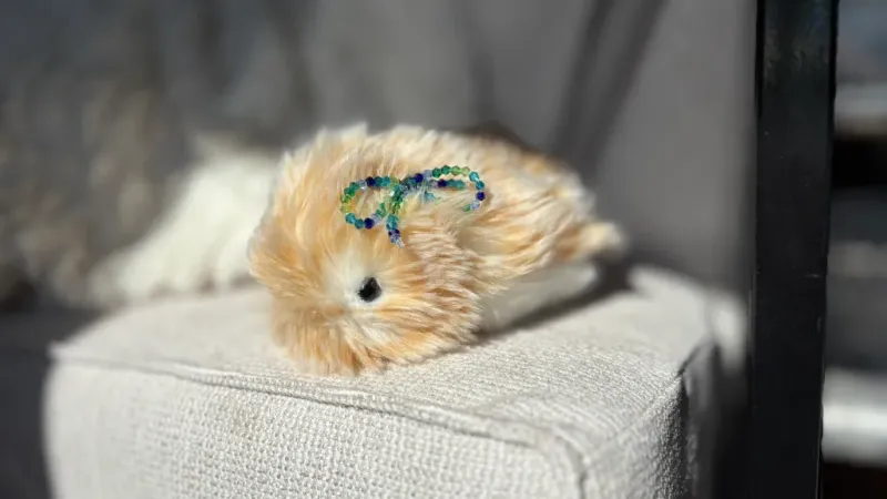 Casio Moflin: ИИ-питомец или дорогой гаджет?