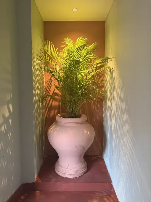 iPhone 17 Pro Max: Больше мощности и новые возможности