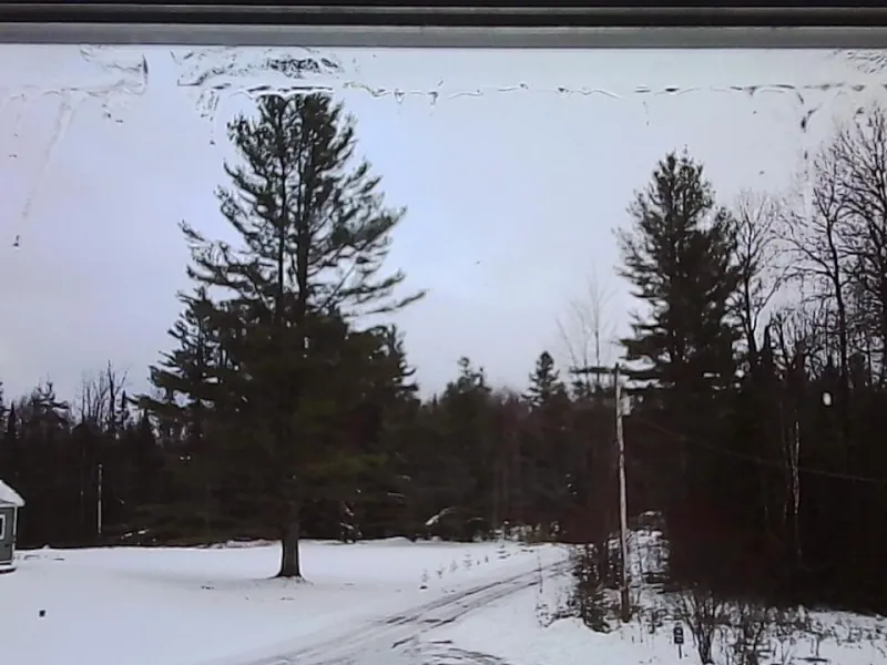 Две сфинкс-кошки, обе темно-серые с черными ушами и носами, сидят близко друг к другу, прижавшись под светло-бежевым одеялом, одна смотрит прямо в камеру, другая — в сторону