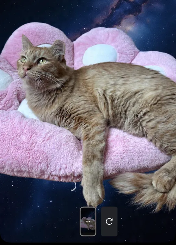 Вы можете использовать Meta AI для редактирования ваших фото в Stories,