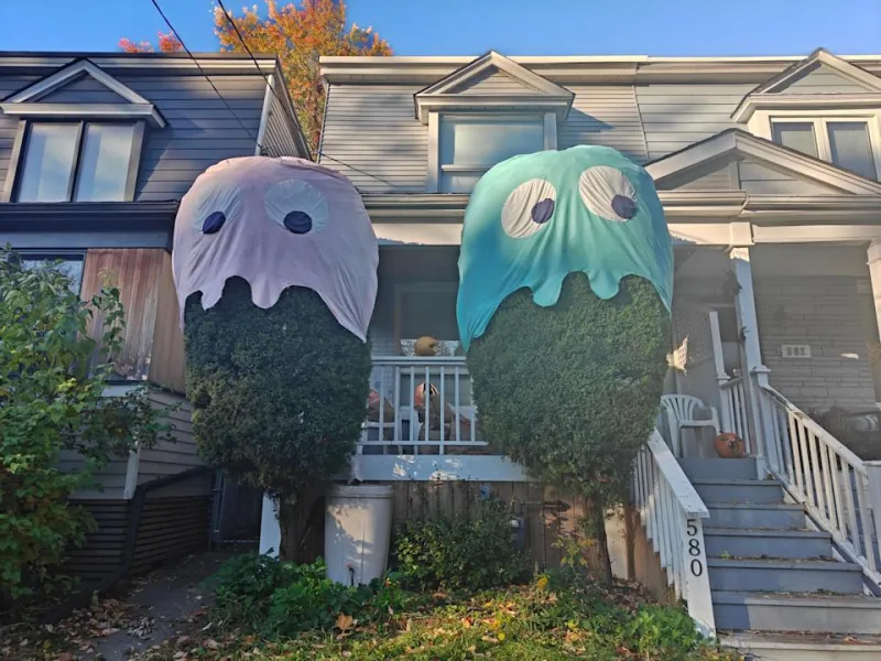 Регулятор громкости и кнопка питания OnePlus 15 расположены на правой стороне телефона.