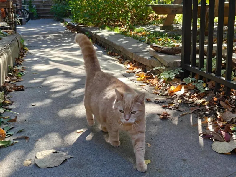 OnePlus 15: Мощный смартфон с огромной батареей