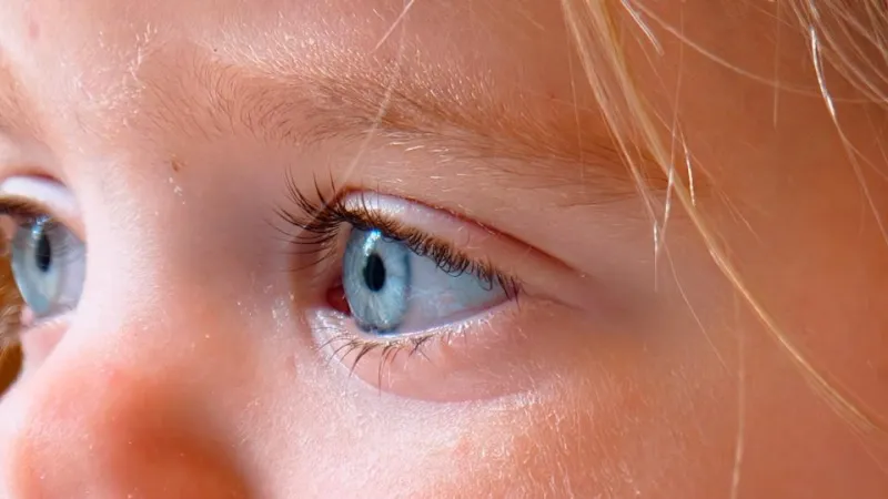 Oppo Find X9: демонстрация