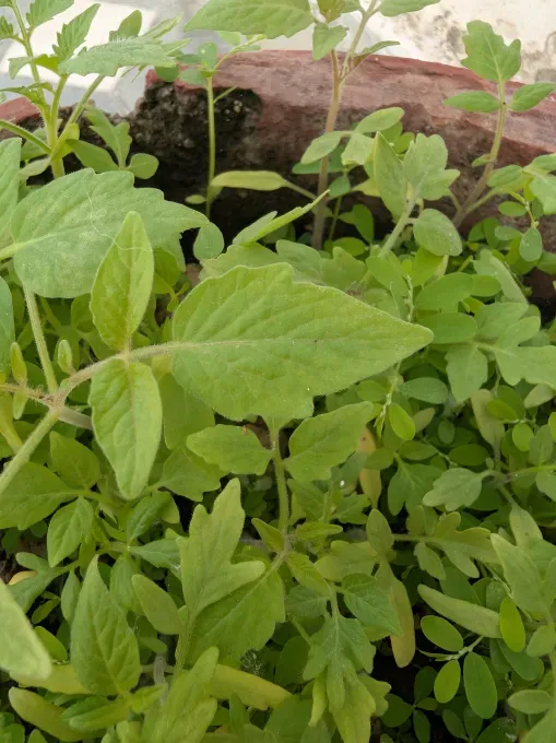 Pixel 10 Pro Fold: Прочность и AI в новом поколении