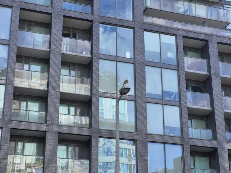 Samsung Galaxy S25 FE: Обновление или иллюзия?