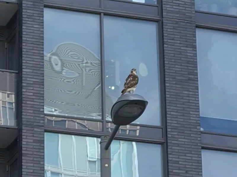 Samsung Galaxy S25 FE: Обновление или иллюзия?