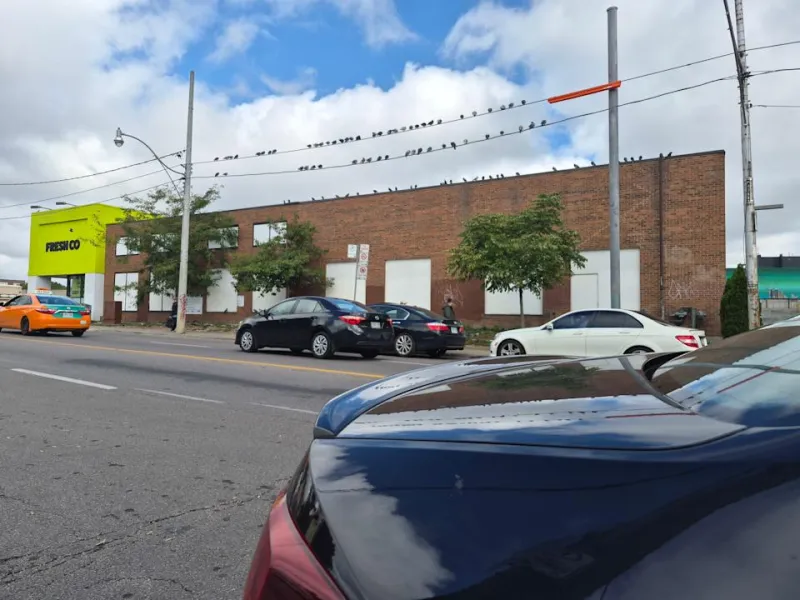 Samsung Galaxy S25 FE: Обновление или иллюзия?