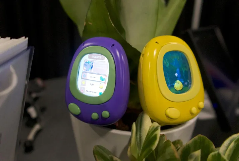 Senso: умный датчик-тамагочи для ухода за комнатными растениями