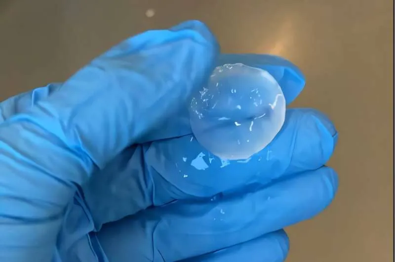 Бактериальные споры: живые материалы будущего