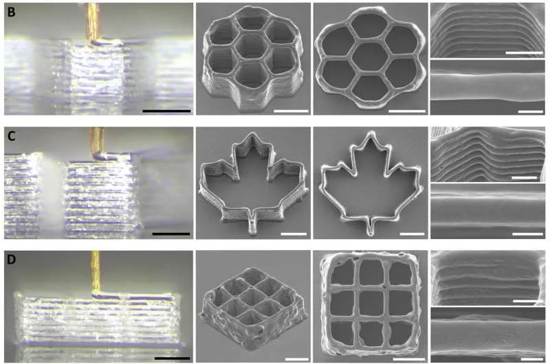 Engineers repurpose a mosquito proboscis to create a nozzle for 3D printing