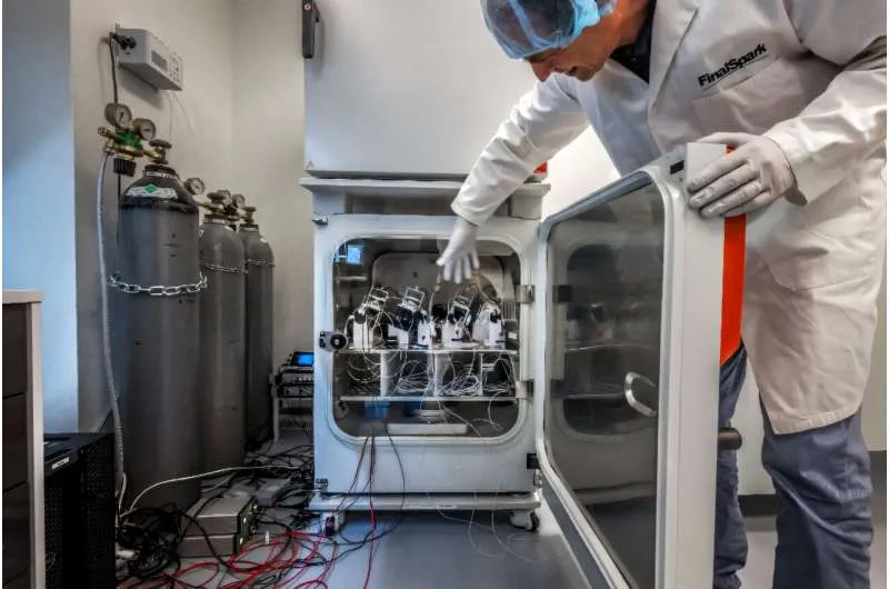 Биовычисления: мини-мозги человека как процессоры будущего