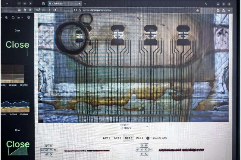 Биовычисления стремятся использовать эволюционно отточенную — но до сих пор загадочную — вычислительную мощность человеческого мозга