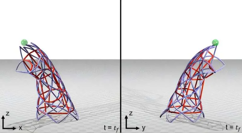 Биогибридные роботы: управление мышцами для адаптивного движения