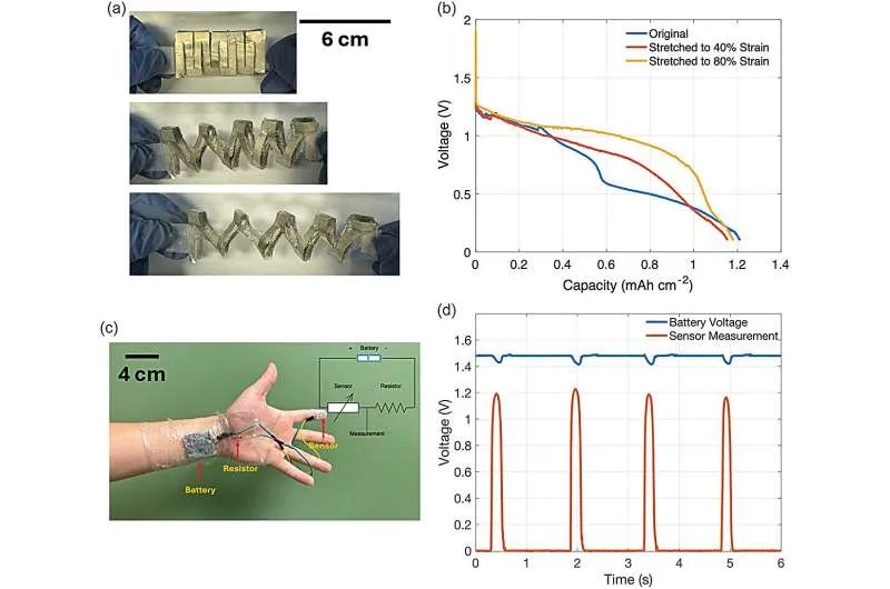 Биоразлагаемые батареи: экологичная альтернатива для носимой электроники