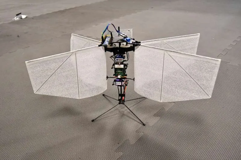 Дрон-мотылек без ИИ: инновации в навигации