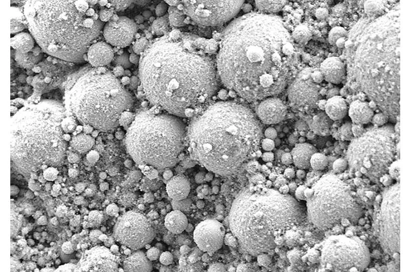 Живой металл: мост между биологией и электроникой