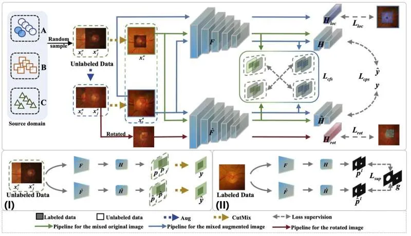 ИИ для медицины: новый метод обучения нейросетей