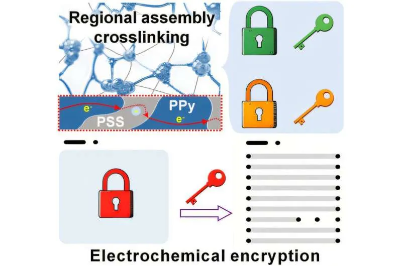 Scientists create a novel hydrogel for unclonable security tags