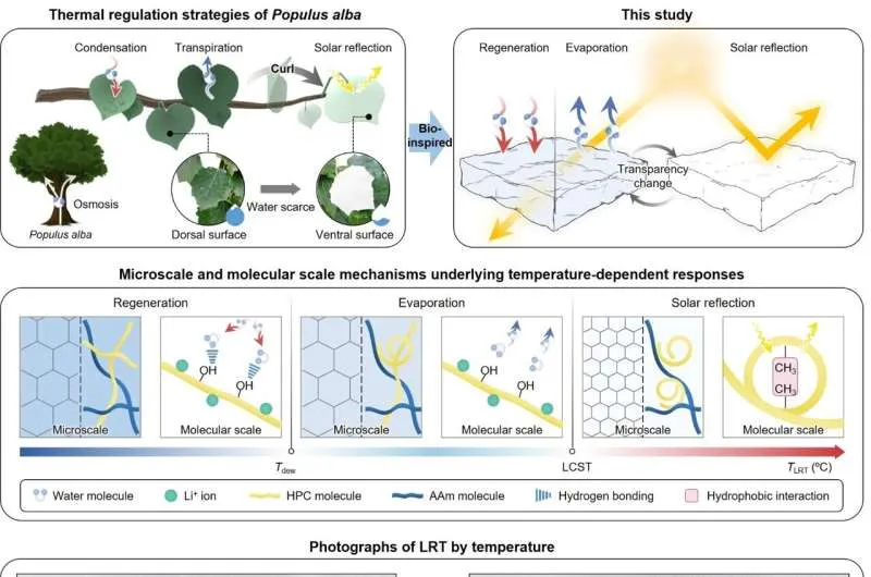 Инновационный гидрогель: терморегуляция без электричества