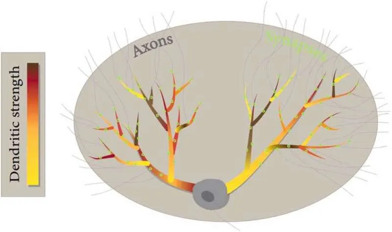 Исследование показывает, что мощь ИИ зависит от специализации узлов