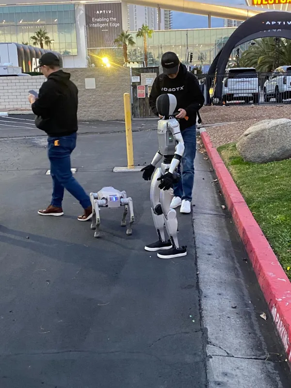 Несколько роботов на парковке отеля.