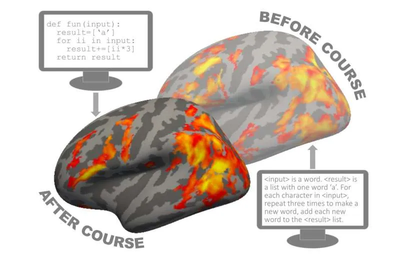 Как мозг учится программировать: научные открытия