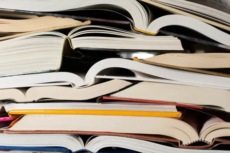 Книга, написанная ИИ: издатель отозвал роман «Shy Girl»