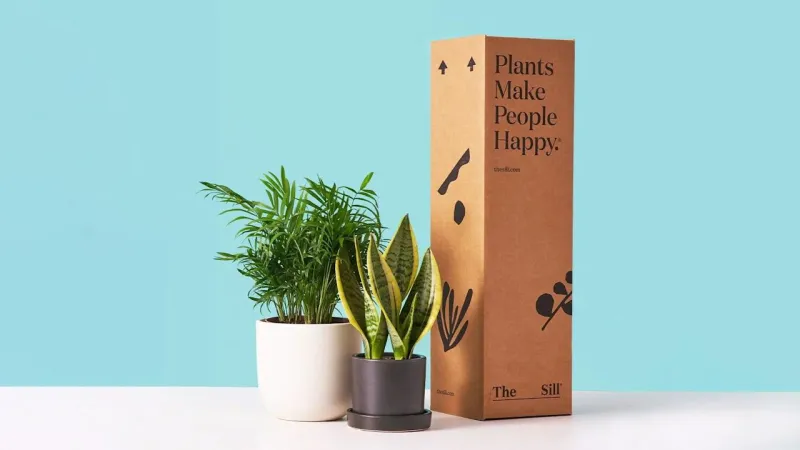 Изображение для большого модуля продукта