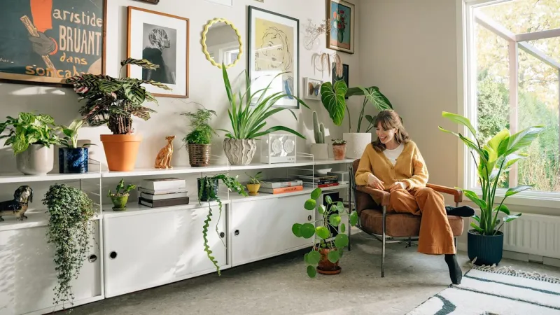 Изображение для большого модуля продукта