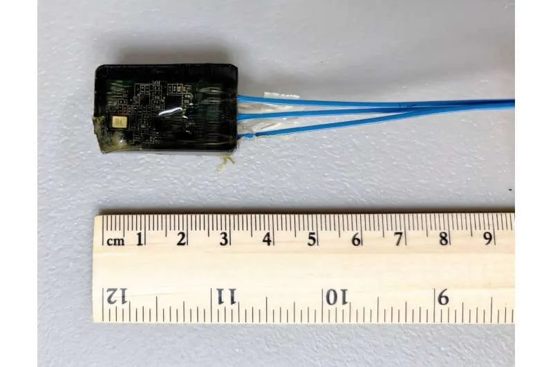 Мини-гидрофон: доступное решение для подводных исследований