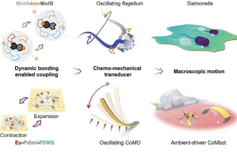 Мягкие роботы на тепловой энергии: новая эра самодвижения