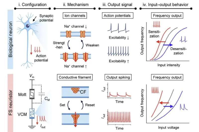 Нейроморфный чип с памятью мозга: энергоэффективный ИИ