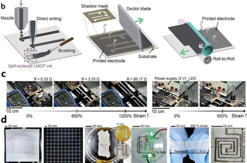 Harry Potter-style 'moving invisibility cloak' technology developed