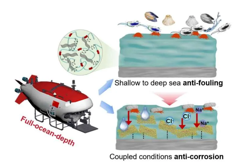 Новое покрытие для защиты от обрастания и коррозии в глубоком море
