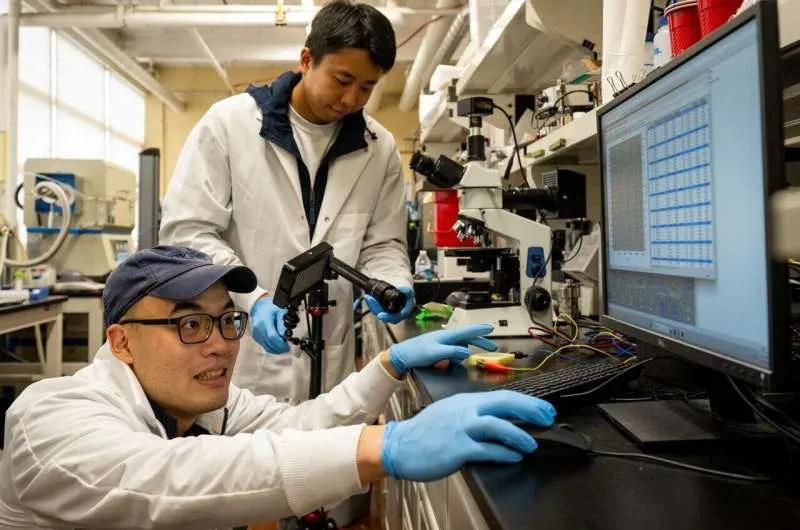 Новые батареи: толстые электроды для большей энергии