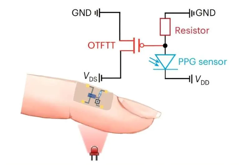 Новые органические транзисторы: прорыв для носимой электроники