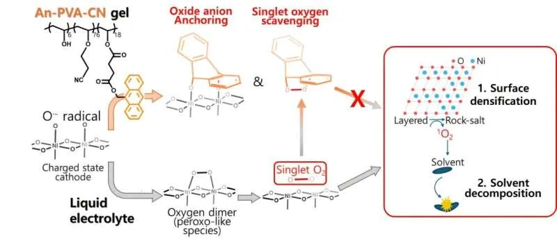 Новый гель-электролит: продлеваем жизнь батарей электромобилей