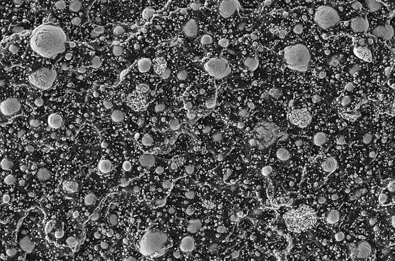 Новый композит: перерабатываемая электроника на жидком металле