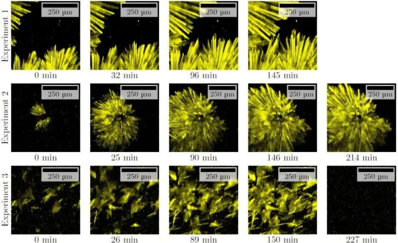 Engineers develop real-time membrane imaging for sustainable water filtration