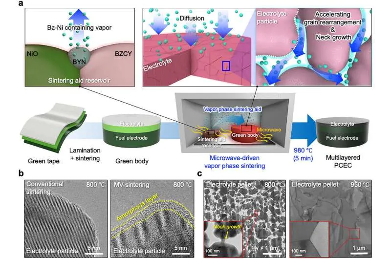 Новый метод снижает температуру производства ячеек на 500°C