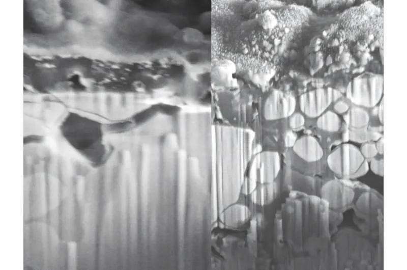 Новый прорыв в твердотельных батареях: безопасность и долговечность