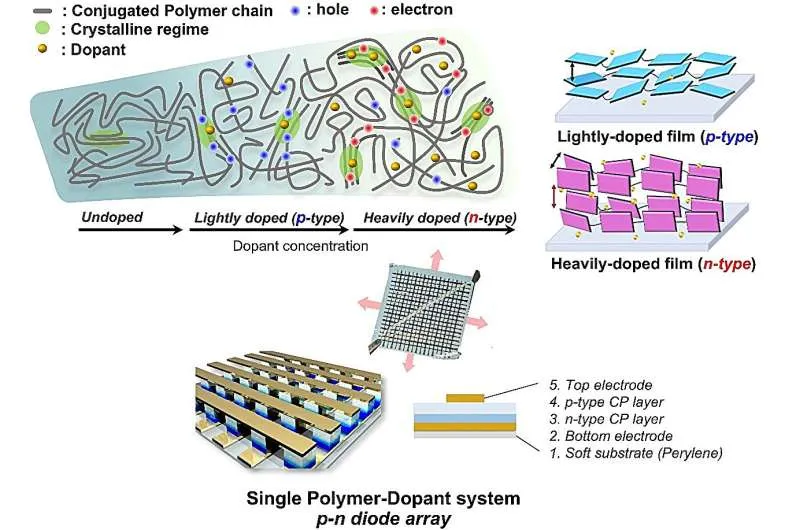 Переключение полярности полимерных полупроводников