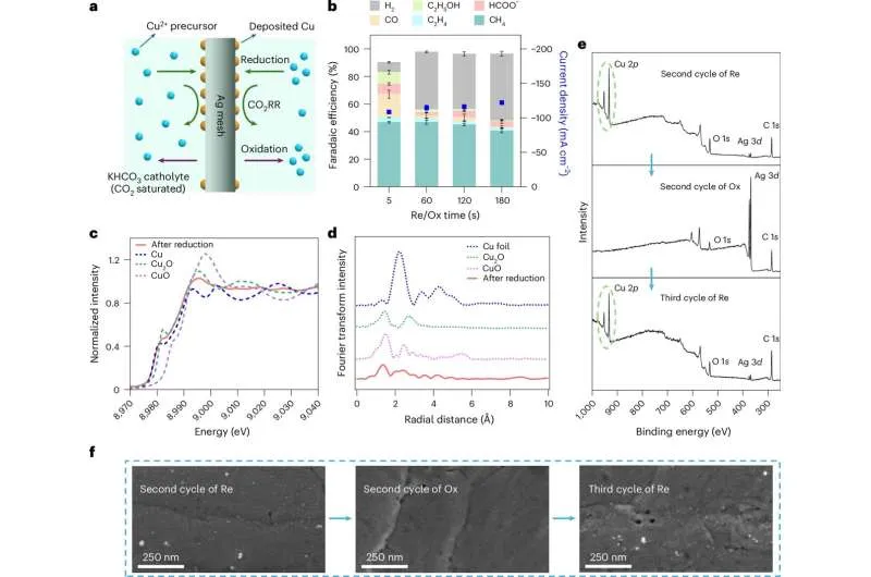 Sustained production of methane from carbon dioxide advances sustainable fuel development