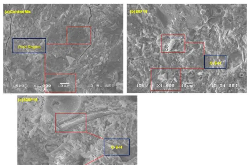 Ракушки в бетоне: новый путь к снижению выбросов CO2