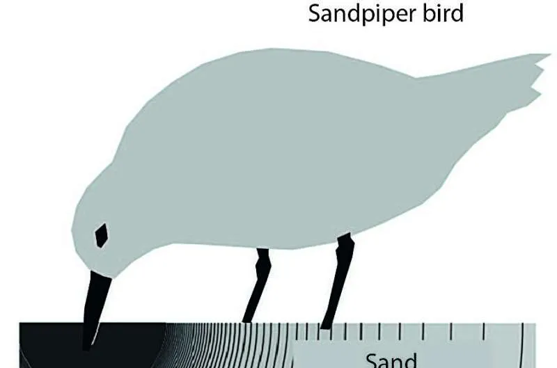 Седьмое чувство человека: осязание на расстоянии