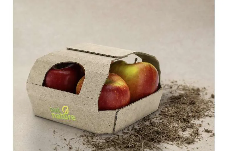 Сильфия против целлюлозы: экологичная бумага будущего