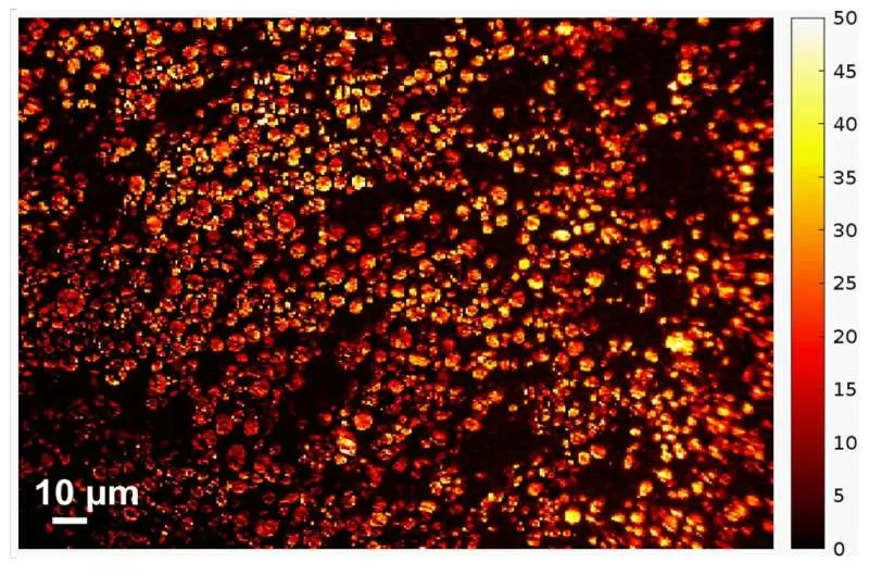 Яркость частиц батареи: новый взгляд на заряд